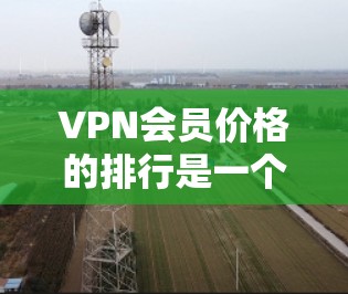 VPN会员价格的排行是一个复杂的过程，涉及多个因素，包括服务质量、功能、隐私保护、地区覆盖等。以下是对VPN会员价格的分析和总结