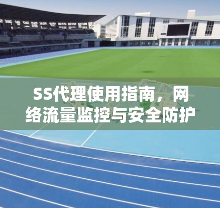 SS代理使用指南,网络流量监控与安全防护
