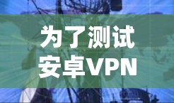 为了测试安卓VPN的稳定性,可以按照以下步骤进行