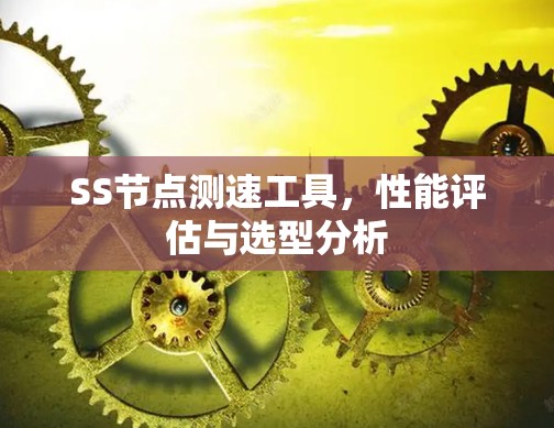 SS节点测速工具，性能评估与选型分析
