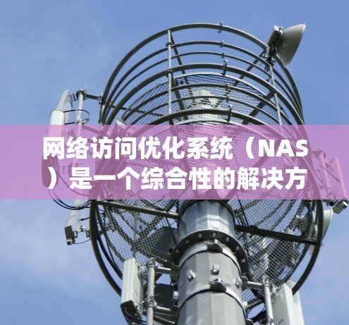 网络访问优化系统（NAS）是一个综合性的解决方案，旨在提升网络性能，改善用户体验。以下是该系统的详细分析和总结