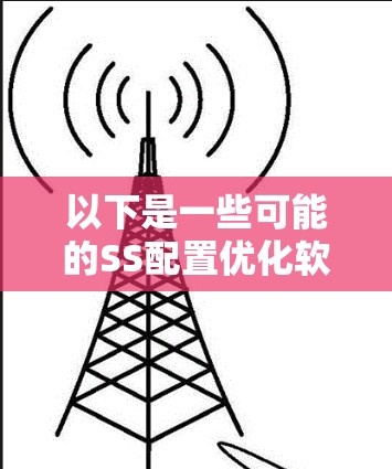 以下是一些可能的SS配置优化软件或工具的推荐