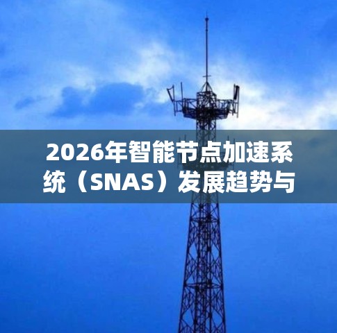2026年智能节点加速系统(SNAS)发展趋势与应用分析